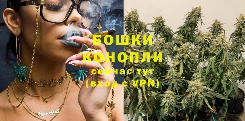 Бошки Шишки THC 21%  купить наркотики сайты  Карталы 